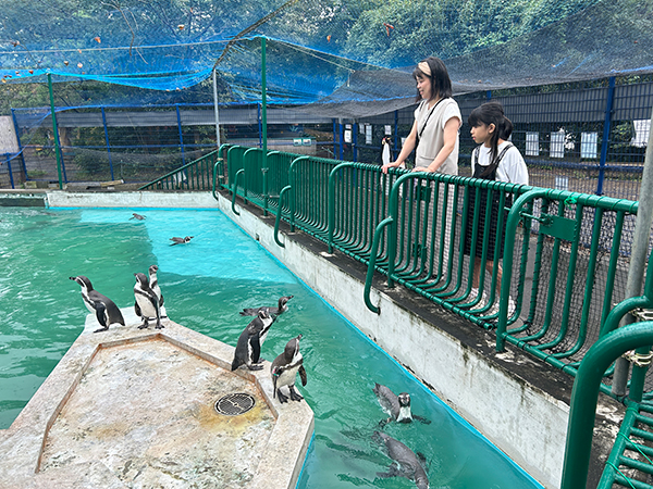 ヒノトントンZOO（羽村市動物公園）