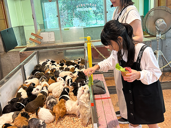 ヒノトントンZOO（羽村市動物公園）