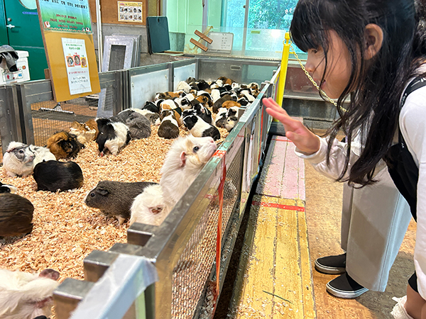 ヒノトントンZOO（羽村市動物公園）