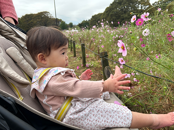 都立小金井公園