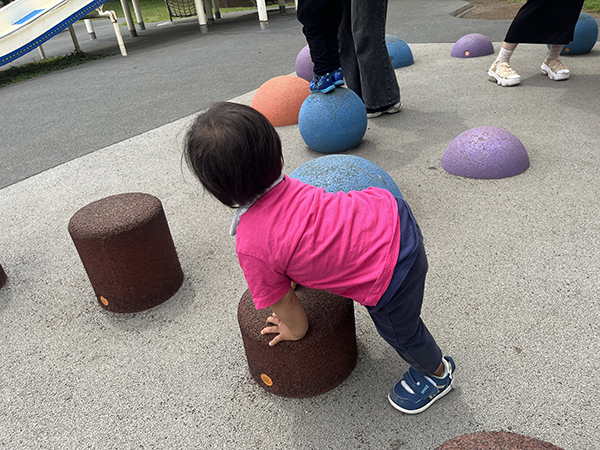大島小松川公園