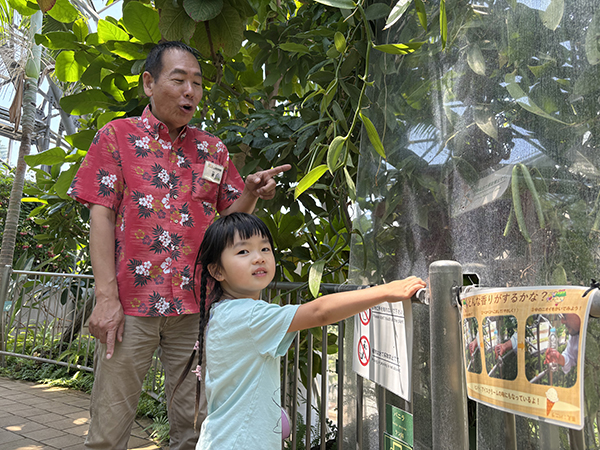 夢の島熱帯植物館