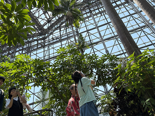 夢の島熱帯植物館