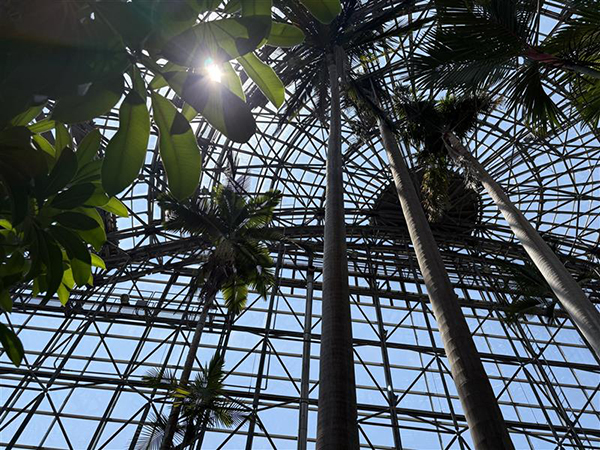 夢の島熱帯植物館