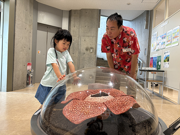 夢の島熱帯植物館