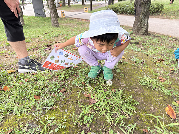 浮間公園