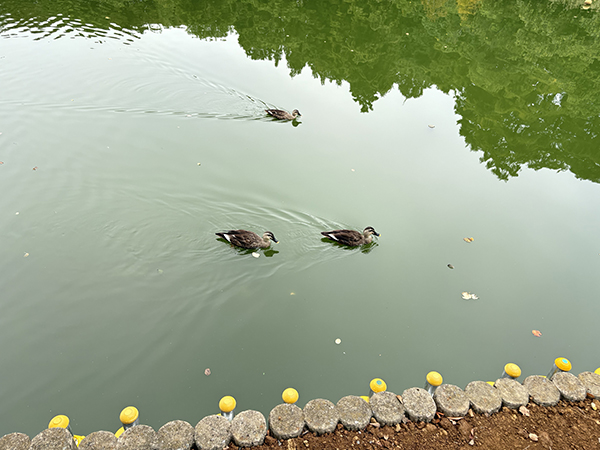 浮間公園