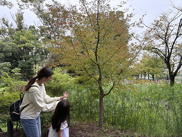 浮間公園