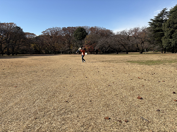 砧公園