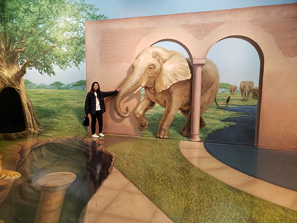 高尾山トリックアート美術館