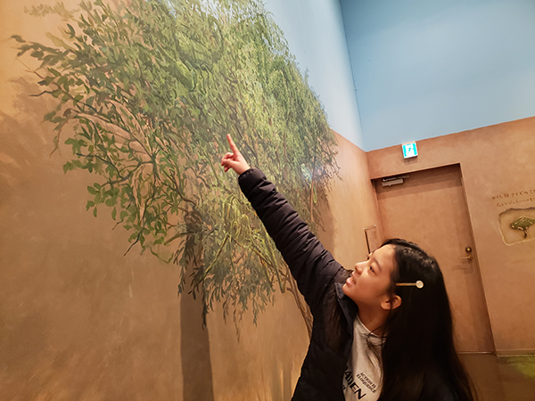 高尾山トリックアート美術館